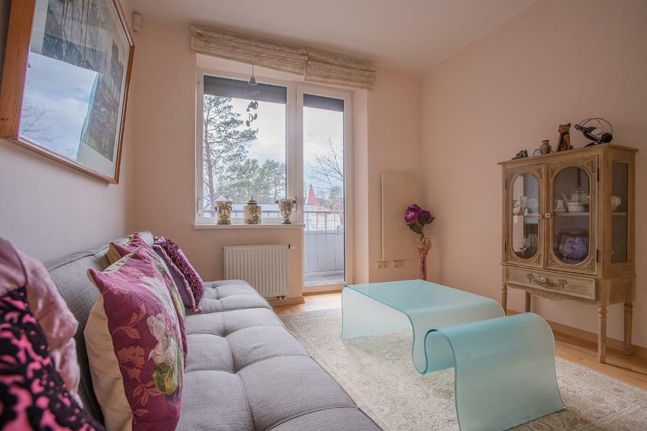 Vilnius Avenue Apartments ドルスキニンカイ エクステリア 写真